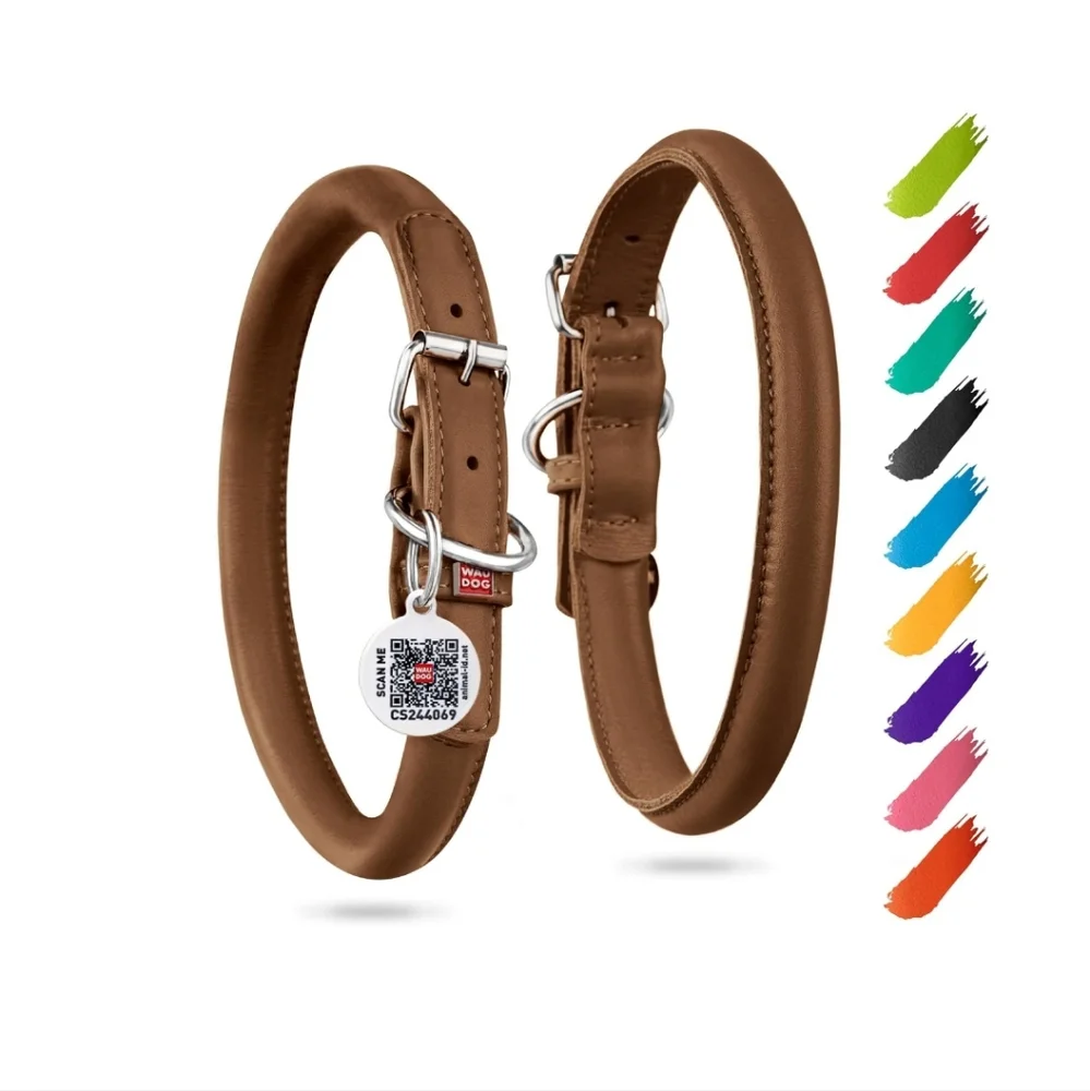 Leather Dog Collar for Small Dogs